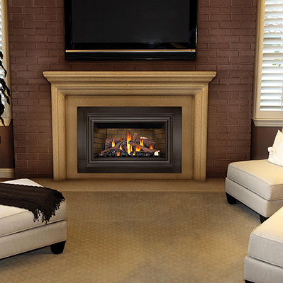 Fireplacepro.com – Napoleon GDIZC Gas Insert