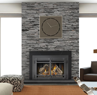 Fireplacepro.com – Napoleon XIR4 Direct Vent Gas Insert