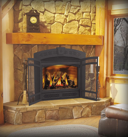 Napoleon GD70 Starfire Direct Vent Gas Fireplace – Fireplacepro