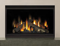 Napoleon BGD42 Clean Face Fireplace