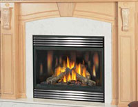 Napoleon BGD42 Gas Fireplace