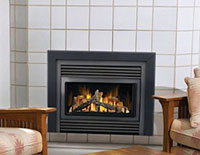 Napoleon GD34 Gas Fireplace