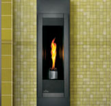 Napoleon GT8 Fireplace