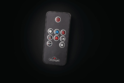 Image of Entice remote control