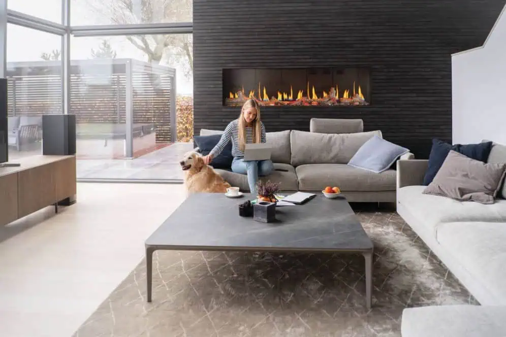 Napoleon Luminex electric fireplace in high contrast neutral living room with grey furniture, woman on sofa with laptop petting dog, window looking to hot tub in backyard