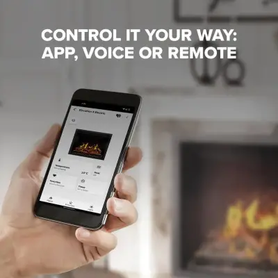 Control it your way: app, voice, or remote.